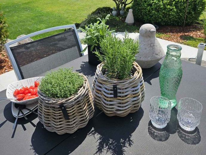MONEmente Kategorie Sommer Lieblinge