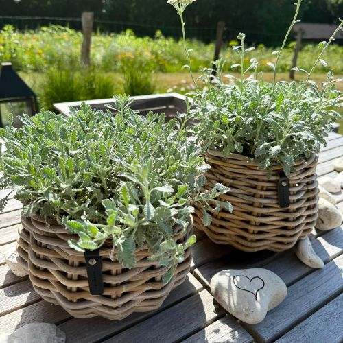 A2 Living Rattan-Korb Blumentopf 'Pear