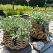 A2 Living Rattan-Korb Blumentopf 'Pear