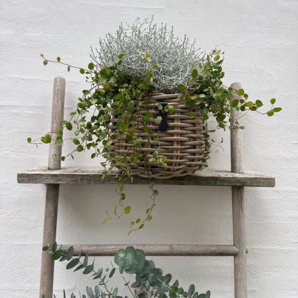 A2 Living Rattan-Korb Blumentopf 'Pear" für Drinnen und Draußen, Höhe 18 cm, Durchmesser 24 cm