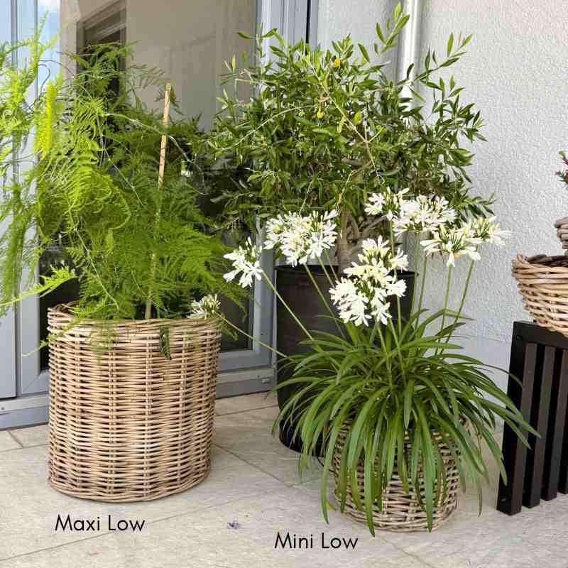 Kubu Rattan-Körbe rund in 4 Größen von A2 Living, für Indoor und Outdoor