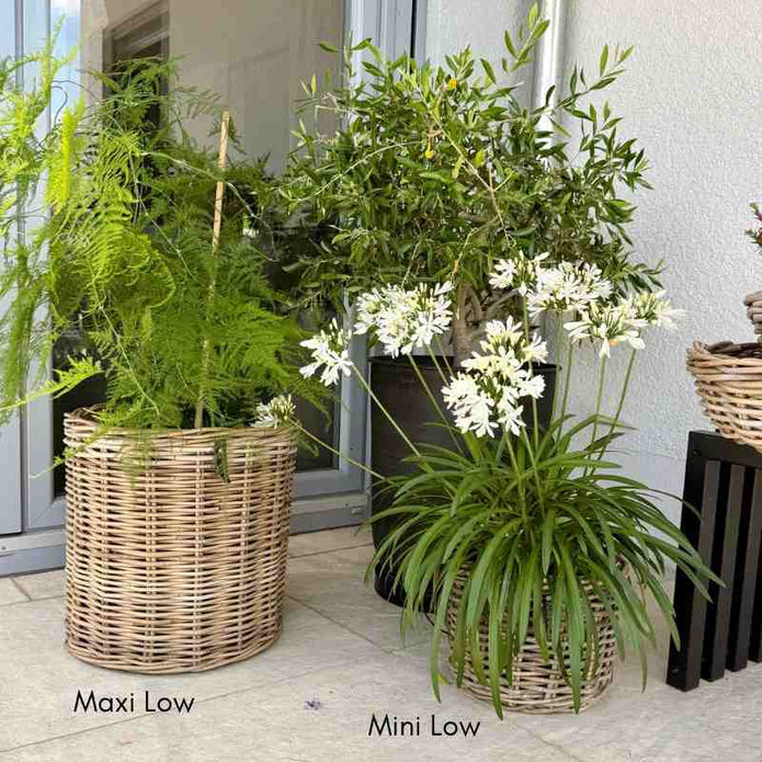 Kubu Rattan-Körbe rund in 4 Größen von A2 Living, für Indoor und Outdoor
