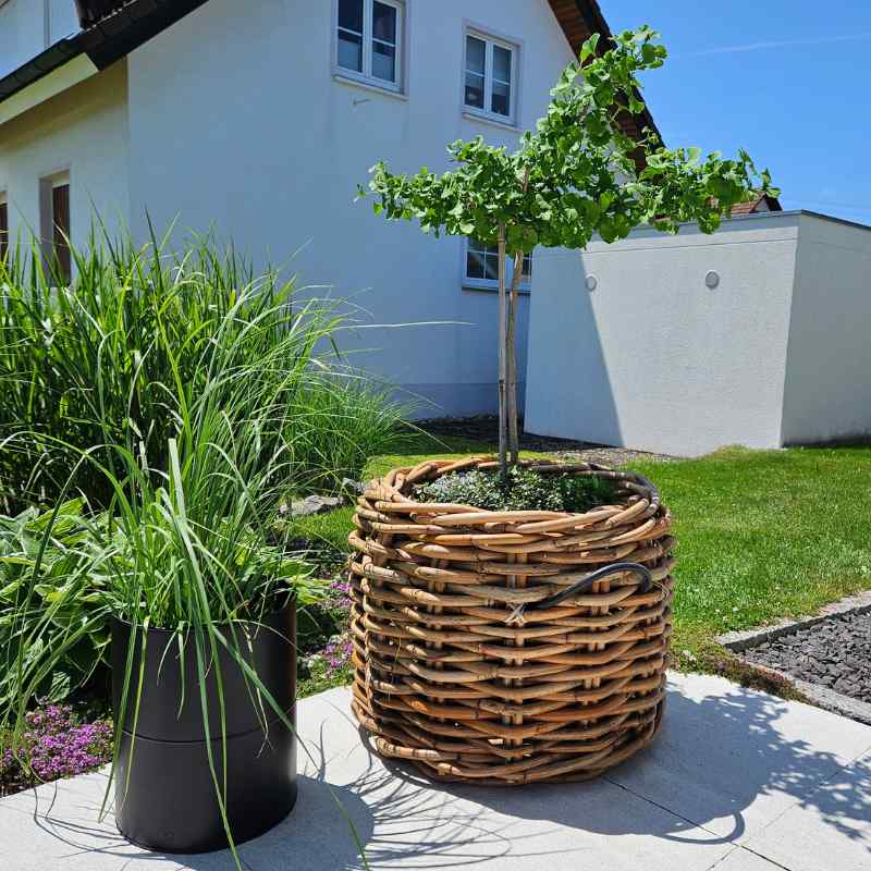 Großer Rattankorb rund in den Maßen Durchmesser 62 cm und der Höhe 50 cm von A2 Living Mega Low
