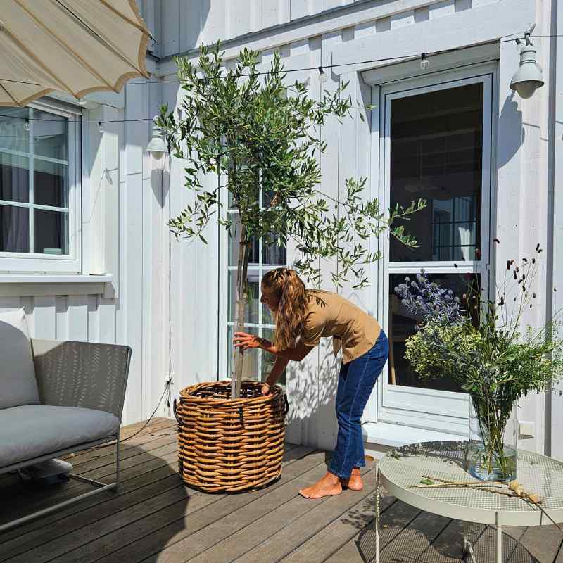 Rattankorb groß Mega Low 62x50 cm für stilvolle Bepflanzung – MONEmente