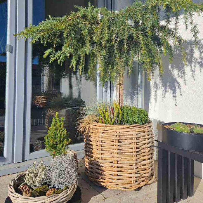Großer Rattankorb rund in den Maßen Durchmesser 62 cm und der Höhe 50 cm von A2 Living Mega Low