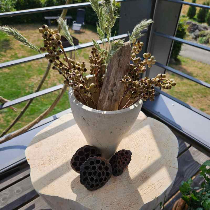 Getroknete Ambernut Zweige gruen zum Dekorieren von Vasen und Tabletts