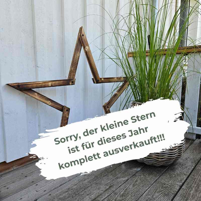 Holzstern klappbar in 2 Größen
