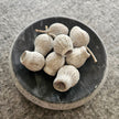Bellgum Glockenfruechte white-washed Optik 20 Stueck, besonders geeignet für  stilvolle Herbst- und Winterdekoration