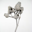 Bellgum white-washed 5 Stiele
