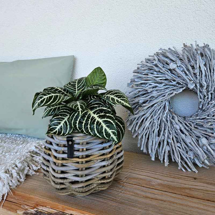 weißer Kranz aus getrockneten Palmzweigen 40 cm Durchmesser