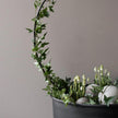 DBKD 2er Set Garden Stick Circle 2er Set