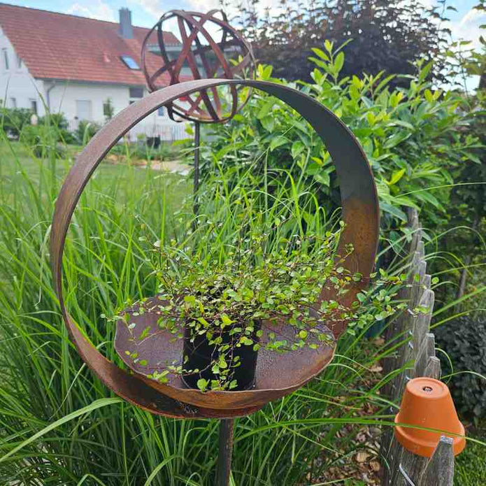 Gartenring Rust mit Schale 35 cm  aus Cortenstahl