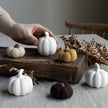 Herbstdekoration in Form verschiedener Kürbisse aus Keramik