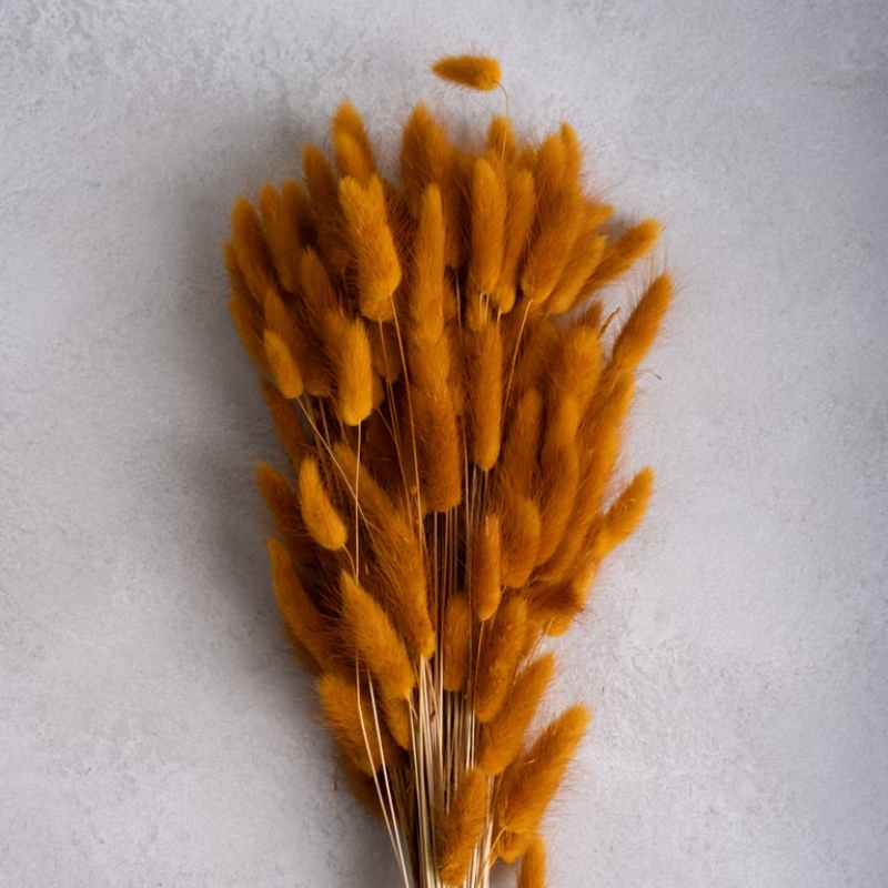 Bund mit Trockenblume Lagurus Samtgras caramel 