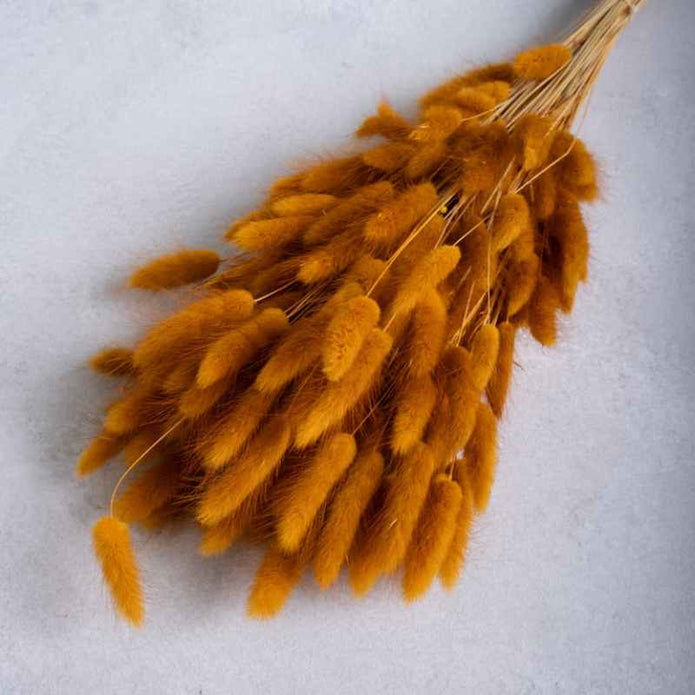 Bund mit Trockenblume Lagurus Samtgras caramel 