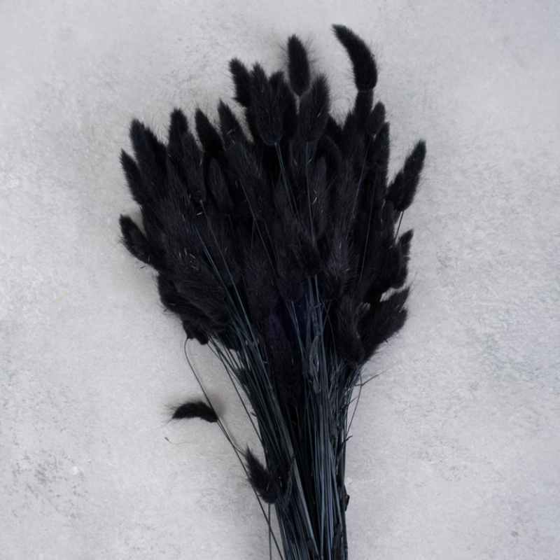 Bund Trockenblume Lagurus Samtgras schwarz