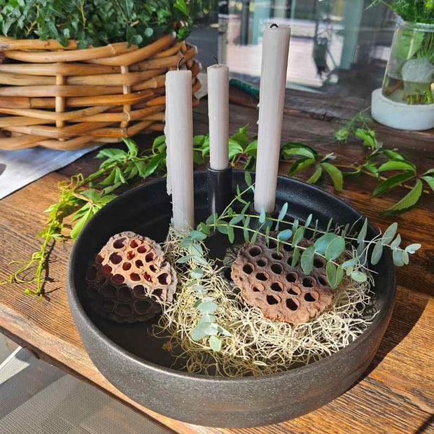 Großer Lotus-Fruchtstand natur zur Dekoration von Schalen und Tabletts