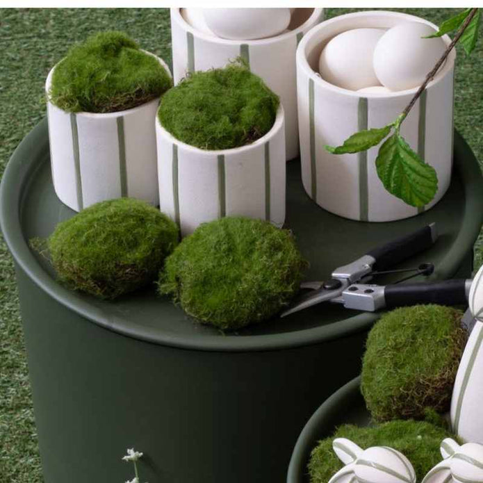 Moos Steine 6er Set, zum Dekorieren von Tabletts und Schalen, lange halbar