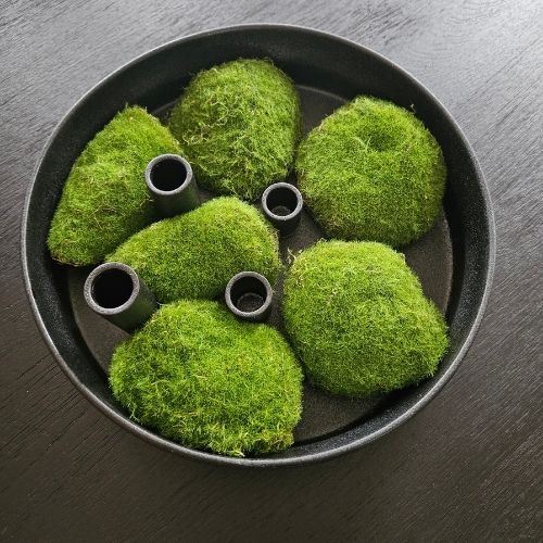 Moos-Polster, 6 Stück
