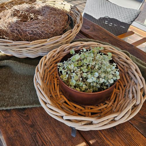 Pflanztablett 2er Set Kupferlook von A2 Living zum Bepflanzen und Dekorieren