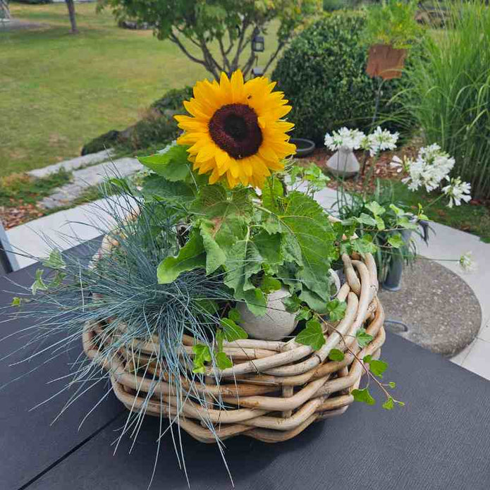 Rattan Schale Maxi von A2 Living für Indoor und Outdoor