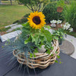 Rattan Schale Maxi von A2 Living für Indoor und Outdoor