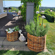 Rattan Korb Mega Low Rund von A2 Living
