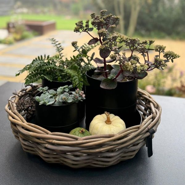 Rattan-Schale KUBU rund Ø 45 cm