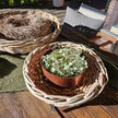 Rattan Schale Kubu 45 cm für Drinnen und Draußen geeignet