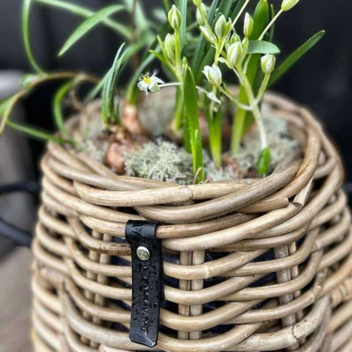 Rattankorb Pear 29 x 30cm in Birnenform aus Kubu-Rattan A2 Living