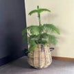Rattan-Korb KUBU Mini 