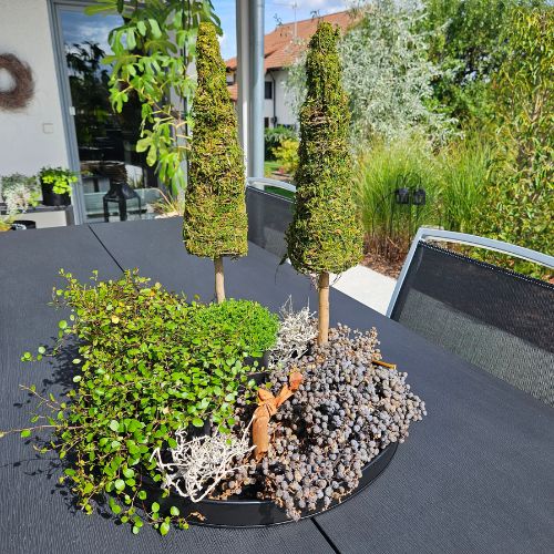 Tanne Nordic 60 cm aus Moos und Holz