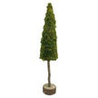 Tanne Nordic 60 cm aus Moos und Holz