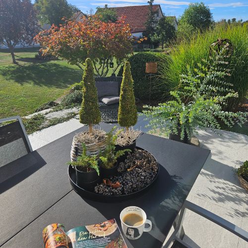 Tanne Nordic 60 cm aus Moos und Holz