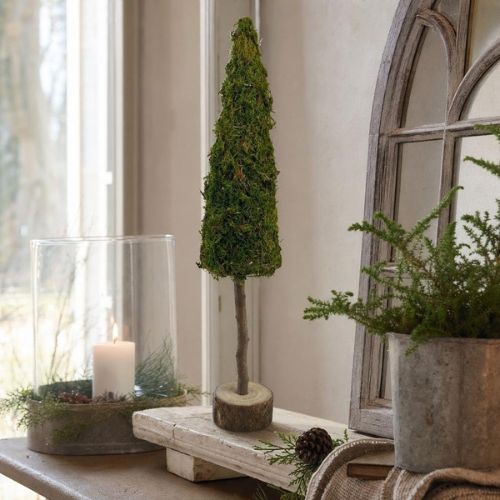 Tanne Nordic 60 cm aus Moos und Holz