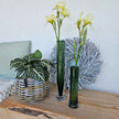 Vase tall grün aus Glas von DBKD in zwei verschiedenen Größen