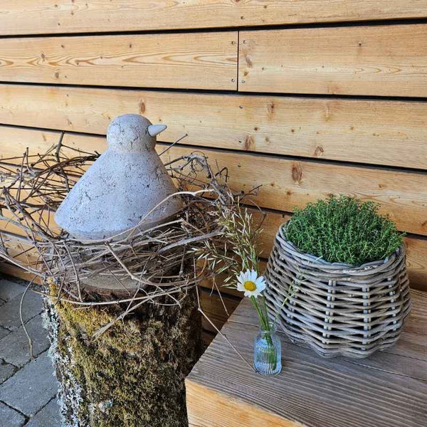 Vogel Selma in zwei Farben