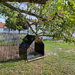 Vogelhaus Alva, schwarz, Edelstahl, pulverbeschichtet