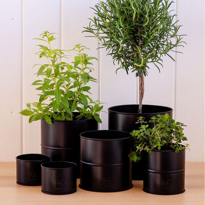 Blumentopf 6er Set schwarz A2 Living