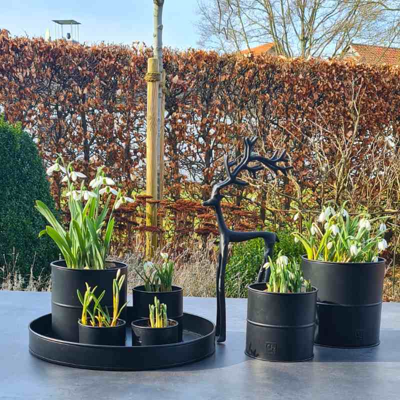 Metall Blumentöpfe 6er-Set schwarz – modern & wetterfest – MONEmente