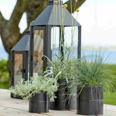 Blumentopf 3er Set schwarz von A2 Living