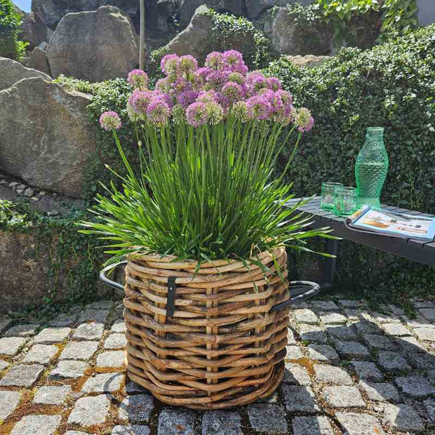 Pflanzkorb A2 Living Rattan Korb Maxi rund low Durchmesser 45 cm, Höhe 39 cm