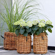 A2 Living Rattan Korb Mini rund Durchmesser 32 cm, Höhe 40 cm