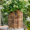 Rattan-Korb rund Mini 32x40 cm