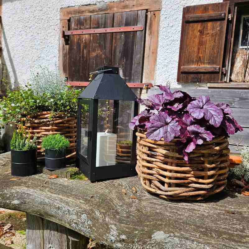 Rattan Korb Mini Low von A2 Living