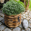 Pflanztopf A2 Living Rattan Korb Mini rund low Durchmesser 32 cm, Höhe 24 cm