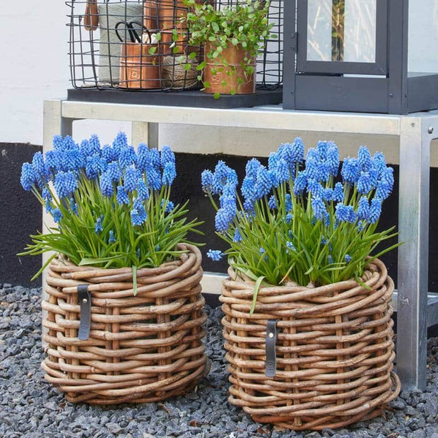 A2 Living Rattan Korb Mini rund low Durchmesser 32 cm, Höhe 24 cm