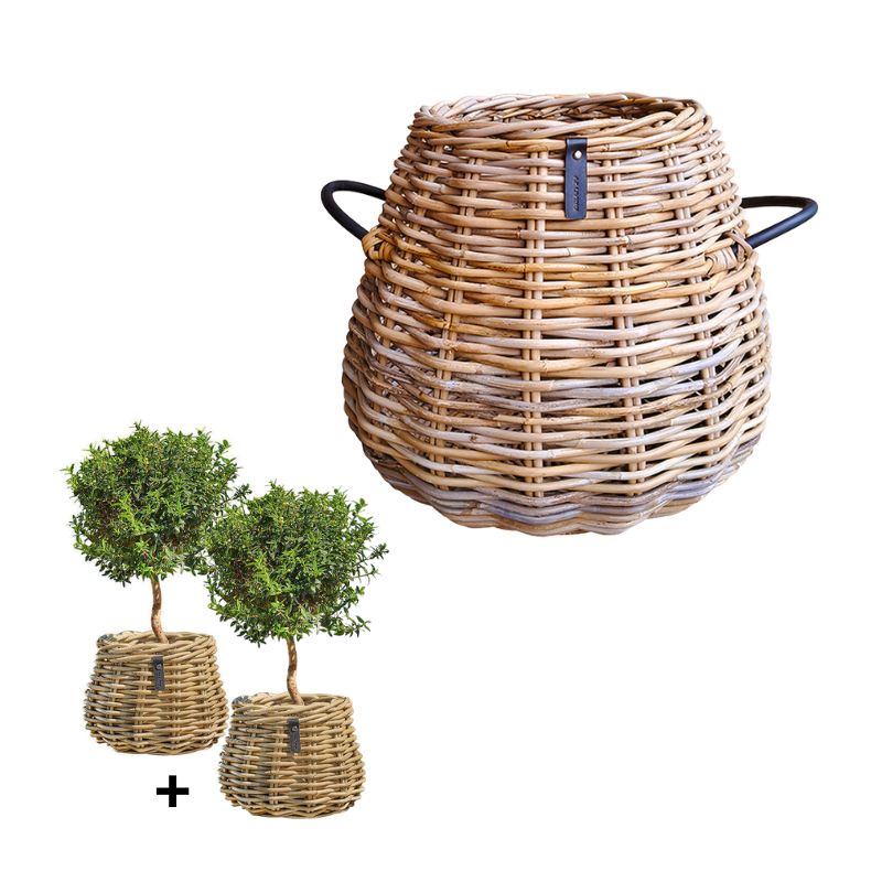 Rattan-Körbe KUBU 