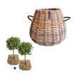 Rattan-Körbe KUBU 