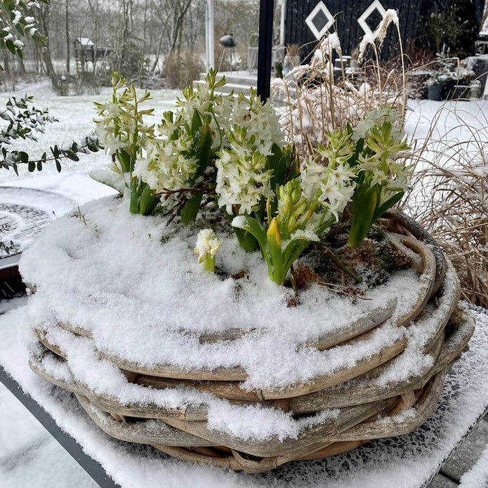 A2 Living Rattan Korb, Schale für Indoor und Outdoor, naturbelassen